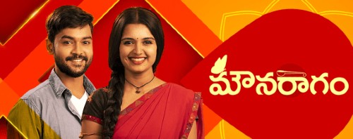 Mouna Ragam Telugu Serial Cast